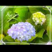 ヒメ日記 2025/05/26 09:07 投稿 果鈴(かりん) 人妻出逢い会 百合の園 山の手本店