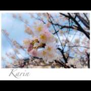 ヒメ日記 2026/03/19 21:17 投稿 果鈴(かりん) 人妻出逢い会 百合の園 山の手本店