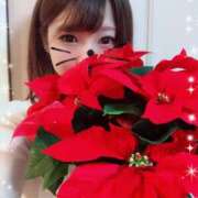 ヒメ日記 2024/12/22 01:53 投稿 ゆりな Club Paradise（クラブパラダイス）