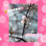 ヒメ日記 2025/03/25 21:28 投稿 静香(しずか) 人妻出逢い会 百合の園 山の手本店