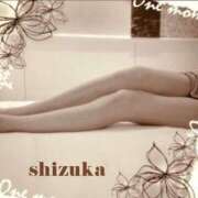 ヒメ日記 2025/04/19 09:00 投稿 静香(しずか) 人妻出逢い会 百合の園 山の手本店