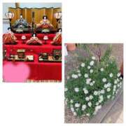 ヒメ日記 2025/03/02 17:48 投稿 島崎(しまざき) 人妻出逢い会 百合の園 山の手本店