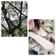 ヒメ日記 2025/03/14 09:53 投稿 島崎(しまざき) 人妻出逢い会 百合の園 山の手本店