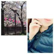 ヒメ日記 2025/03/29 13:48 投稿 島崎(しまざき) 人妻出逢い会 百合の園 山の手本店