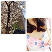 ヒメ日記 2025/03/30 20:38 投稿 島崎(しまざき) 人妻出逢い会 百合の園 山の手本店