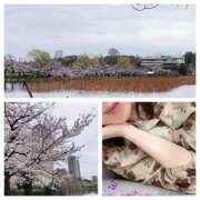 ヒメ日記 2025/03/31 20:08 投稿 島崎(しまざき) 人妻出逢い会 百合の園 山の手本店