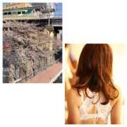 ヒメ日記 2025/04/12 22:38 投稿 島崎(しまざき) 人妻出逢い会 百合の園 山の手本店