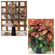 ヒメ日記 2025/04/24 12:47 投稿 島崎(しまざき) 人妻出逢い会 百合の園 山の手本店