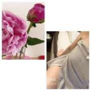 ヒメ日記 2025/05/21 19:37 投稿 島崎(しまざき) 人妻出逢い会 百合の園 山の手本店