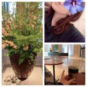 ヒメ日記 2025/05/31 20:47 投稿 島崎(しまざき) 人妻出逢い会 百合の園 山の手本店