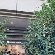 ヒメ日記 2025/10/25 10:37 投稿 島崎(しまざき) 人妻出逢い会 百合の園 山の手本店