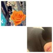 ヒメ日記 2025/11/07 19:27 投稿 島崎(しまざき) 人妻出逢い会 百合の園 山の手本店