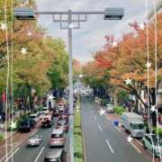 ヒメ日記 2025/11/16 21:47 投稿 島崎(しまざき) 人妻出逢い会 百合の園 山の手本店