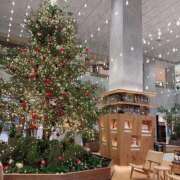 ヒメ日記 2025/12/24 14:17 投稿 島崎(しまざき) 人妻出逢い会 百合の園 山の手本店