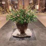 ヒメ日記 2026/02/10 00:17 投稿 島崎(しまざき) 人妻出逢い会 百合の園 山の手本店