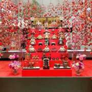 ヒメ日記 2026/02/18 09:37 投稿 島崎(しまざき) 人妻出逢い会 百合の園 山の手本店