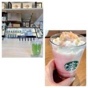 ヒメ日記 2026/03/05 18:37 投稿 島崎(しまざき) 人妻出逢い会 百合の園 山の手本店