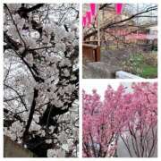 ヒメ日記 2026/03/23 19:57 投稿 島崎(しまざき) 人妻出逢い会 百合の園 山の手本店