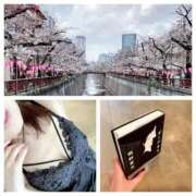 ヒメ日記 2026/03/27 19:57 投稿 島崎(しまざき) 人妻出逢い会 百合の園 山の手本店