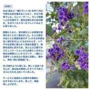 島崎(しまざき) 8,25♪ 人妻出逢い会 百合の園 山の手本店