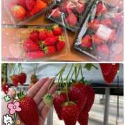 ヒメ日記 2026/01/12 19:17 投稿 晴美(はるみ) 人妻出逢い会 百合の園 山の手本店