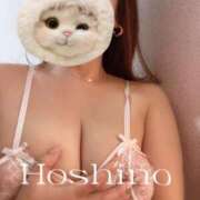 ヒメ日記 2025/02/08 08:32 投稿 星野 昼顔妻 五反田店