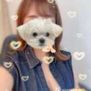 ヒメ日記 2025/06/05 00:04 投稿 星野 昼顔妻 五反田店