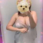 ヒメ日記 2025/08/19 20:16 投稿 星野 昼顔妻 五反田店