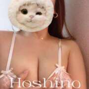 ヒメ日記 2025/08/28 13:15 投稿 星野 昼顔妻 五反田店