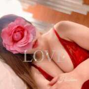 ヒメ日記 2025/09/25 23:49 投稿 星野 昼顔妻 五反田店