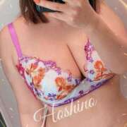 ヒメ日記 2025/09/28 08:33 投稿 星野 昼顔妻 五反田店