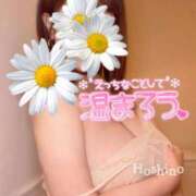 ヒメ日記 2025/11/14 20:05 投稿 星野 昼顔妻 五反田店