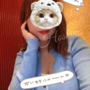 ヒメ日記 2026/02/22 22:22 投稿 星野 昼顔妻 五反田店