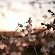 ヒメ日記 2025/04/11 22:43 投稿 あすか Club Paradise（クラブパラダイス）