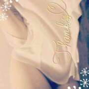 ヒメ日記 2025/04/15 00:03 投稿 あすか Club Paradise（クラブパラダイス）