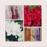 ヒメ日記 2025/04/30 19:03 投稿 あすか Club Paradise（クラブパラダイス）