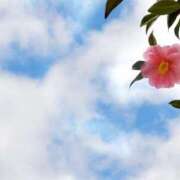 あすか ♪あすか Club Paradise（クラブパラダイス）