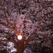 ヒメ日記 2026/04/09 15:35 投稿 あすか Club Paradise（クラブパラダイス）