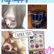 ヒメ日記 2025/02/22 00:23 投稿 なな Club Paradise（クラブパラダイス）