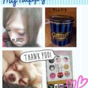 ヒメ日記 2026/02/17 00:33 投稿 なな Club Paradise（クラブパラダイス）