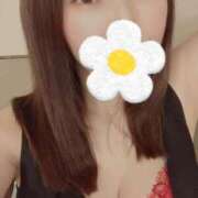 ヒメ日記 2026/02/26 13:20 投稿 吹雪さくら セレブショップ新宿（東京ハレ系）