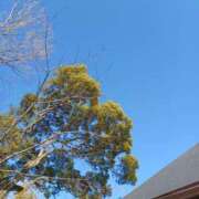 ヒメ日記 2025/02/13 17:50 投稿 静香／しずか 五反田アネージュ（ユメオト）