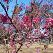 ヒメ日記 2025/02/14 16:37 投稿 静香／しずか 五反田アネージュ（ユメオト）