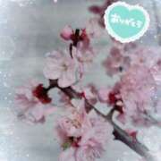 ヒメ日記 2025/03/22 00:09 投稿 静香／しずか 五反田アネージュ（ユメオト）