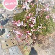 ヒメ日記 2025/03/25 05:40 投稿 静香／しずか 五反田アネージュ（ユメオト）