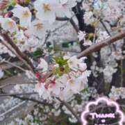 ヒメ日記 2025/04/07 23:33 投稿 静香／しずか 五反田アネージュ（ユメオト）