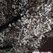 ヒメ日記 2025/04/07 23:40 投稿 静香／しずか 五反田アネージュ（ユメオト）