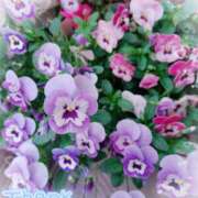 ヒメ日記 2025/04/13 22:48 投稿 静香／しずか 五反田アネージュ（ユメオト）