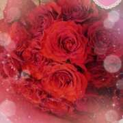 ヒメ日記 2025/04/26 18:04 投稿 静香／しずか 五反田アネージュ（ユメオト）