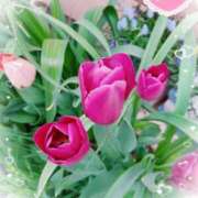 ヒメ日記 2025/04/27 18:06 投稿 静香／しずか 五反田アネージュ（ユメオト）